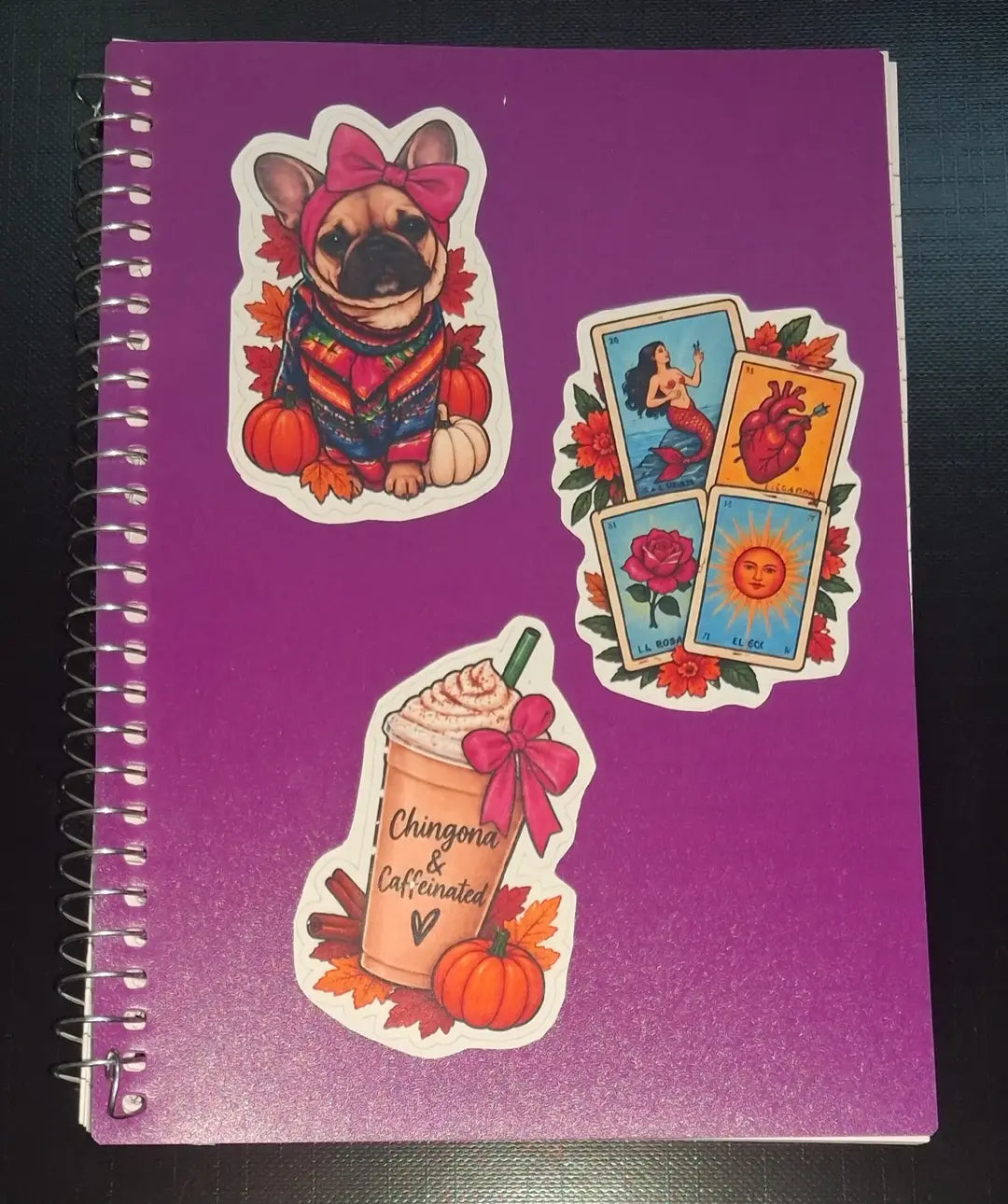 10x Pack Mexican-American Stickers, Latino Culture Decals